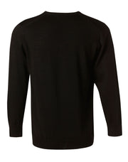 Men's 100% Merino Wool V Neck L/S Sweater